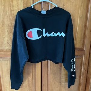 Champion cropped hoodie size Small